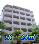 1K 24u
